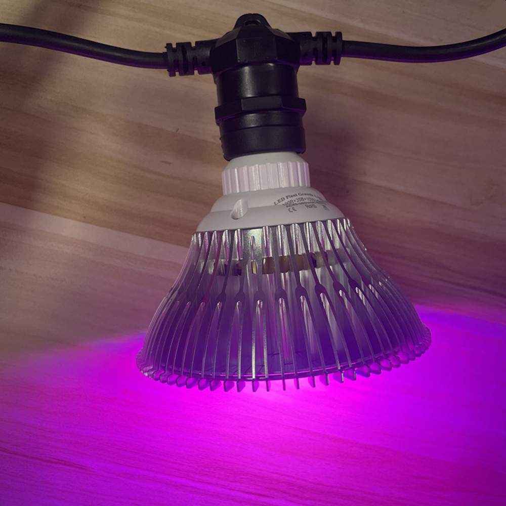 สายไฟ LED ยาว 10 เมตร เกรดเชิง - Waterproof Led Strip บทวิจารณ์และราคา